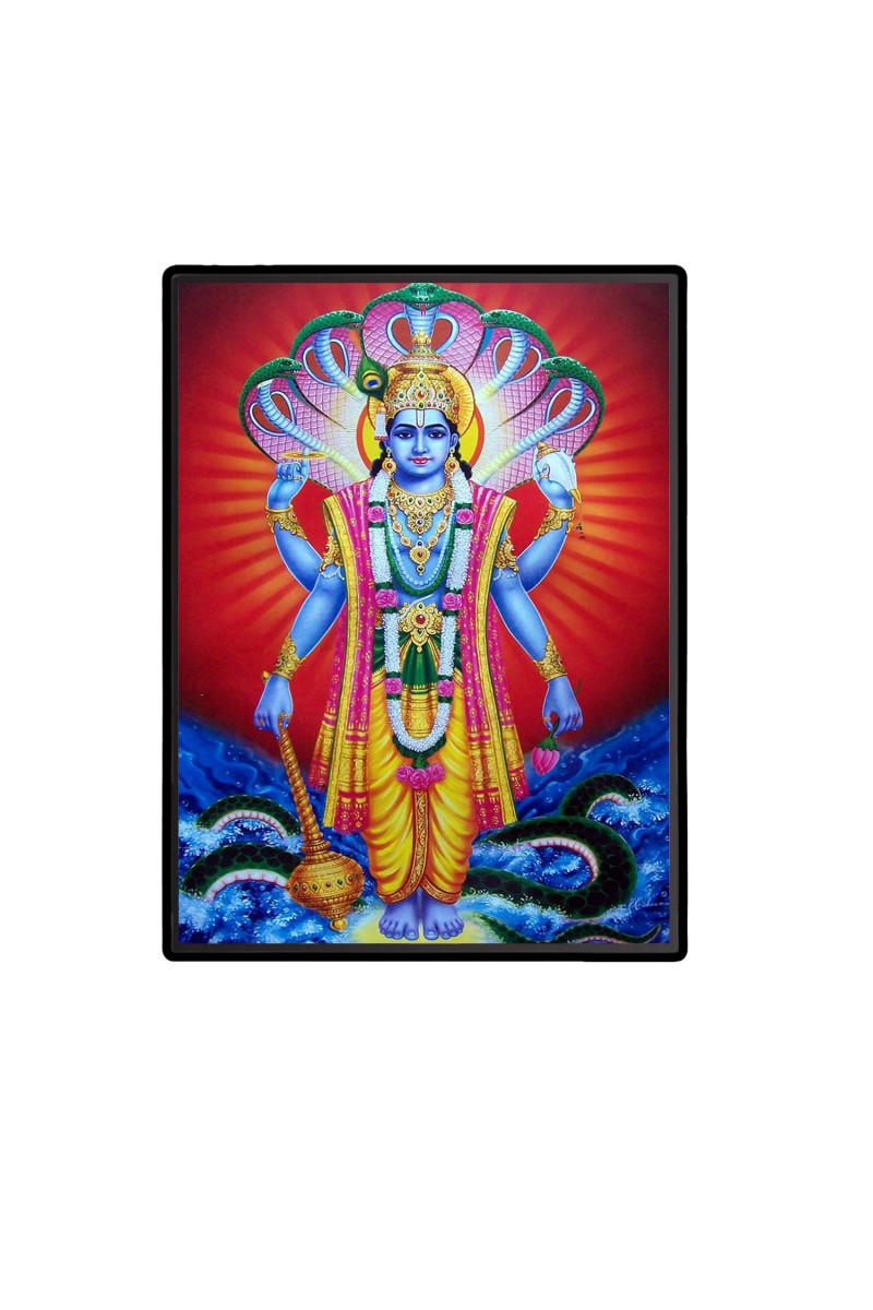 Vishnu  Laminated Photo  - 5x7 Inches, Divine Blessings for Home & Office and Temple Decoration