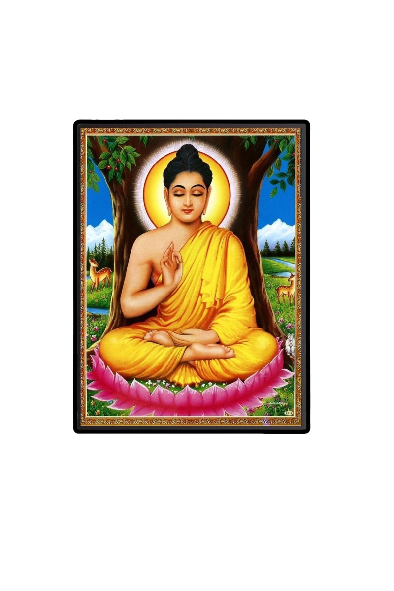 Buddha Laminated Photo  - 5x7 Inches, Divine Blessings for Home & Office and Temple Decoration