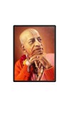 Swami Prabhupada Laminated Photo  - 5x7 Inches, Divine Blessings for Home & Office and Temple Decoration