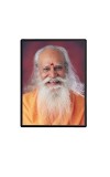 Swami Satchidananda Laminated Photo  - 5x7 Inches, Divine Blessings for Home & Office and Temple Decoration