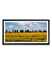 Nature Landscape Floating Frame Scenery Digital Print - 12x24 inch Modern Nature Wall Art for Living Room, Bedroom, Office, Hotels, Drawing Room