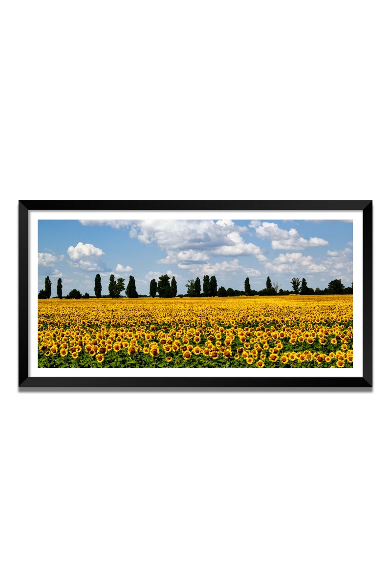 Nature Landscape Floating Frame Scenery Digital Print - 12x24 inch Modern Nature Wall Art for Living Room, Bedroom, Office, Hotels, Drawing Room
