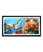 Nature Landscape Floating Frame Scenery Digital Print - 12x24 inch Modern Nature Wall Art for Living Room, Bedroom, Office, Hotels, Drawing Room