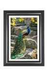 Peacock Photo Frame | 10x14 Inch Black Designer Wall & Table Frame | Perfect for Gifting & Home Decor Peacock Photo Frame | 10x14 Inch Black Designer Wall & Table Frame | Perfect for Gifting & Home Decor