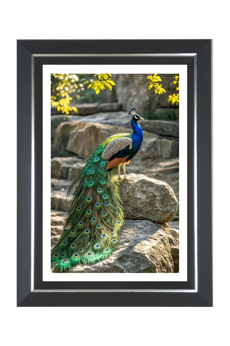 Peacock Photo Frame | 10x14 Inch Black Designer Wall & Table Frame | Perfect for Gifting & Home Decor