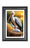 white stork with two chicks in a nest Photo Frame | 10x14 Inch Black Designer Wall & Table Frame | Perfect for Gifting & Home Decor white stork with two chicks in a nest Photo Frame | 10x14 Inch Black Designer Wall & Table Frame | Perfect for Gifting & Home Decor