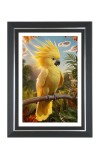 Yellow Cockatoo Photo Frame | 10x14 Inch Black Designer Wall & Table Frame | Perfect for Gifting & Home Decor