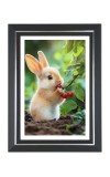 Cute Bunny Rabbit Photo Frame | 10x14 Inch Black Designer Wall & Table Frame | Perfect for Gifting & Home Decor Cute Bunny Rabbit Photo Frame | 10x14 Inch Black Designer Wall & Table Frame | Perfect for Gifting & Home Decor