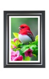 Summer Tanager Photo Frame | 10x14 Inch Black Designer Wall & Table Frame | Perfect for Gifting & Home Decor