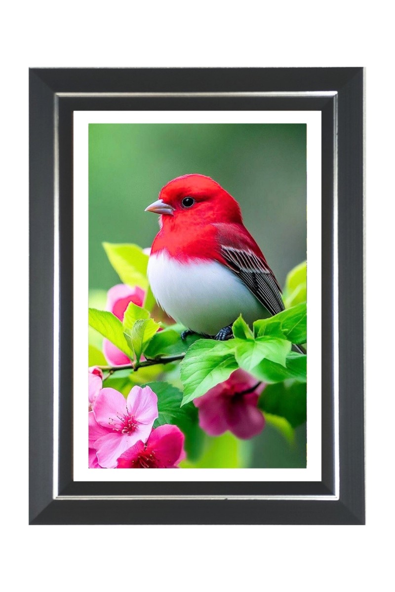 Summer Tanager Photo Frame | 10x14 Inch Black Designer Wall & Table Frame | Perfect for Gifting & Home Decor