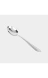 Stainless Steel Spoon Stainless Steel Spoon