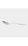 Stainless Steel Spoon Stainless Steel Spoon