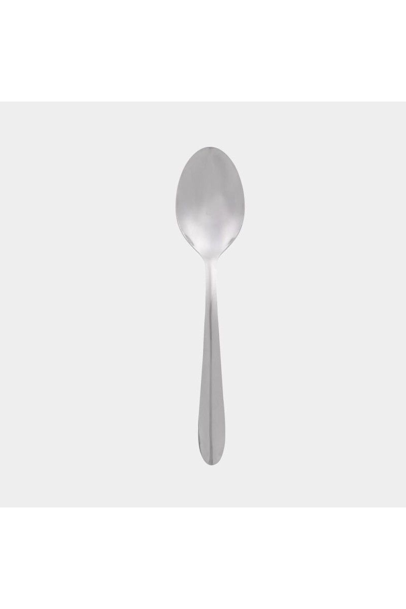 Stainless Steel Spoon