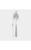 Stainless Steel Spoon Stainless Steel Spoon