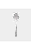 Stainless Steel Spoon Stainless Steel Spoon