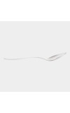 Stainless Steel Spoon Stainless Steel Spoon