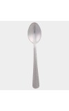 Stainless Steel Spoon