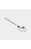 Stainless Steel Spoon
