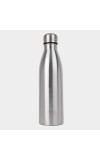 750 ml Stainless Steel Bottle