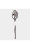 Steel Dessert Spoon