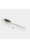 Steel Spoon