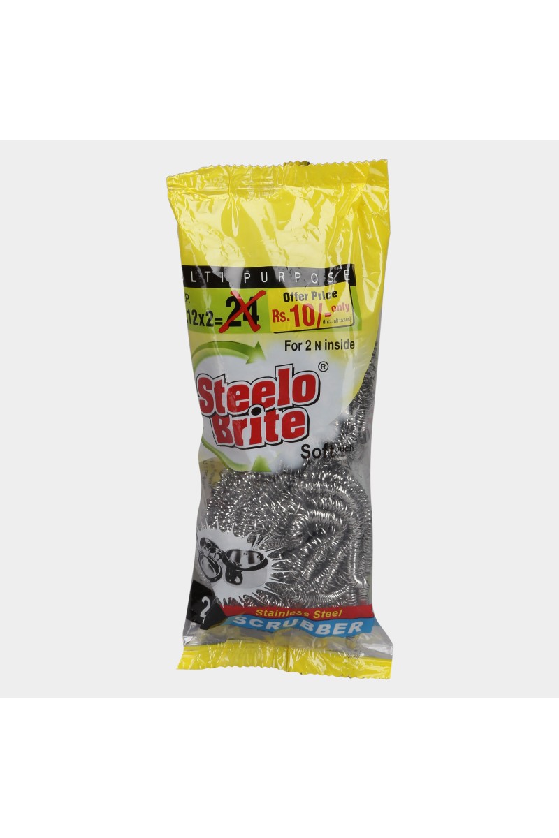 Stainless Steel Utensil Scrub Set of 2