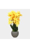 Plastic Artificial Plant